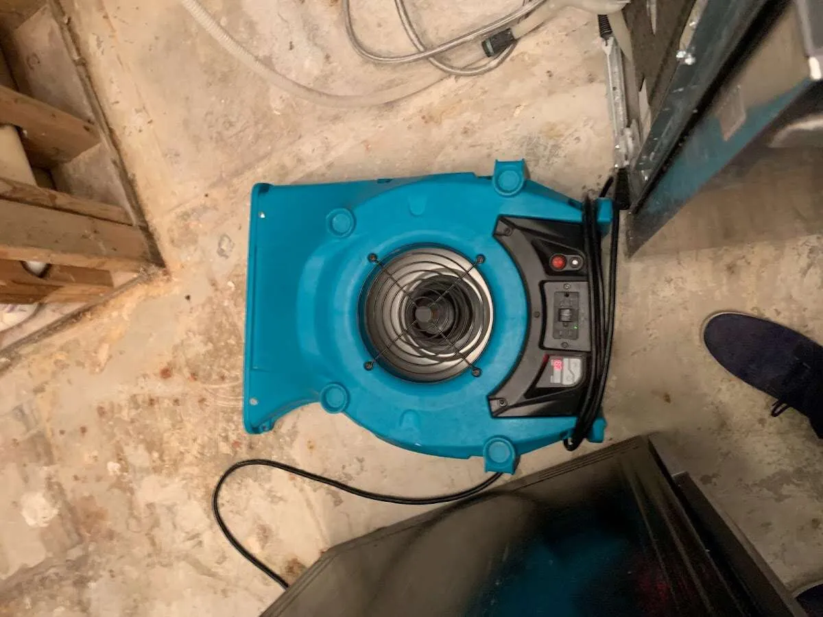 Air mover drying equipment for Mold Remediation & Removal in Carroll